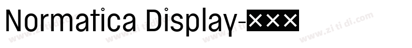 Normatica Display字体转换